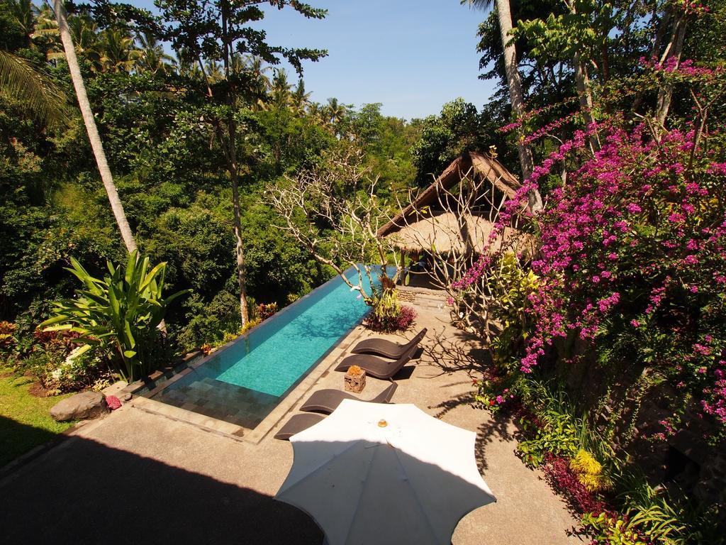 Alami Villa Ubud  Luaran gambar